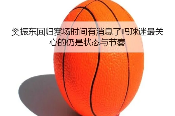 樊振东回归赛场时间有消息了吗球迷最关心的仍是状态与节奏